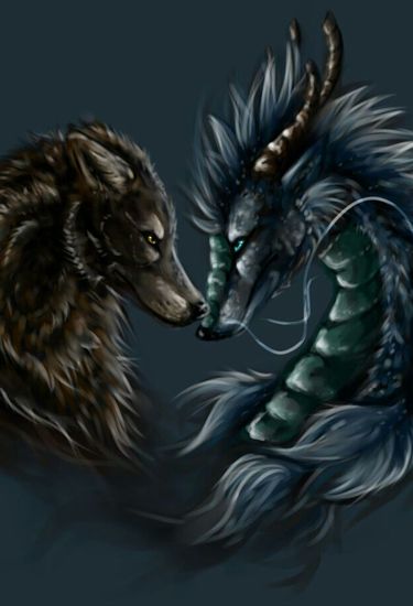 Wolf dragon pictures