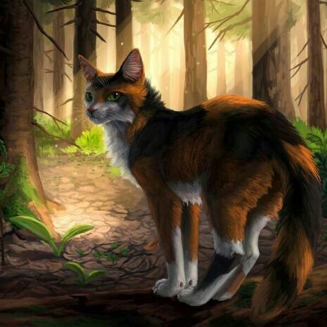 Котята | •Коты-Воители•Стая Леса• Amino