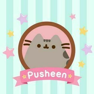 pusheen chef