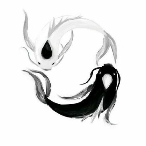 Latest | Anidex Amino
