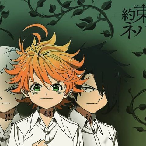 The Promised Neverland Pfp - The Best Promised Neverland