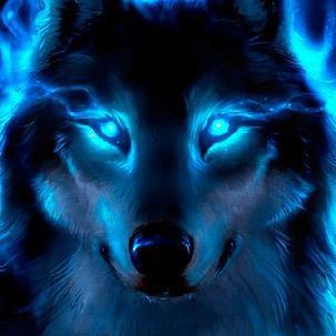 Featured | 🐺Блуждающий Волк 🐺 Amino
