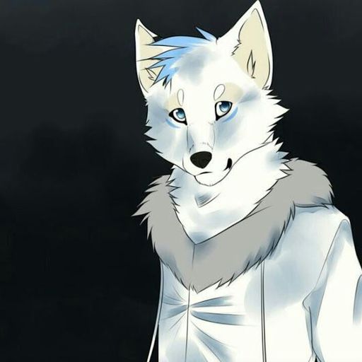 Polls | Фури[RUS] Amino
