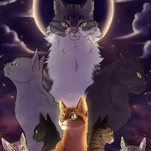 Featured | ★Коты-Воители★Russian amino★ Amino