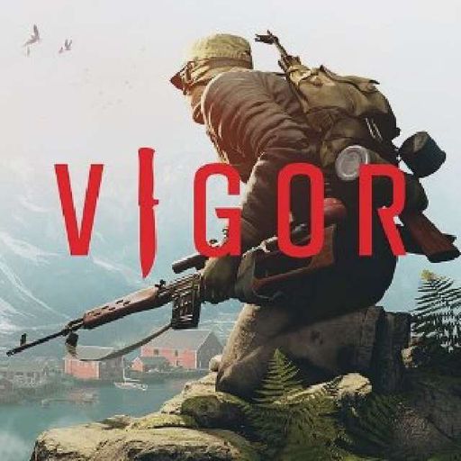 vigor now website