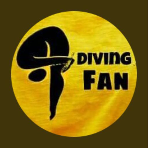 Los clavados, una historia de éxito en México DivingFans Amino