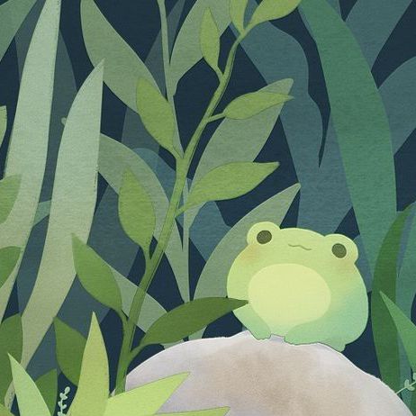 About | •Болото с жабками• Amino