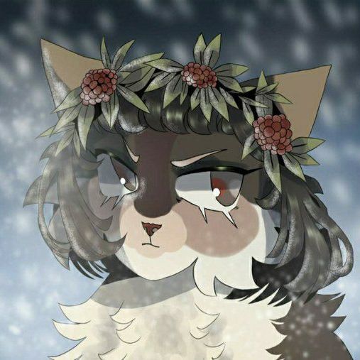 Окрасы Котов Воителей | ~°Коты-воители°~ Amino