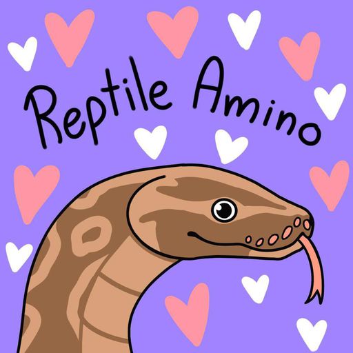 What reptiles can be kept in a 20 gallon? Reptiles Amino
