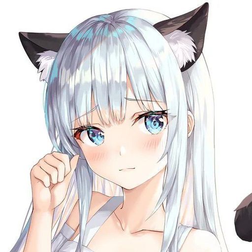 UWU | Discord kittens Amino