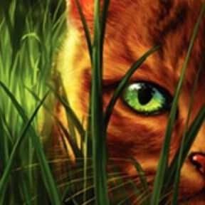 Bloodbird | Wiki | The Warrior Cats Amino Amino