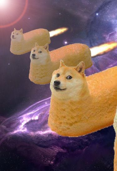 Doge Army | Wiki | DOGE FANS ONLY Amino