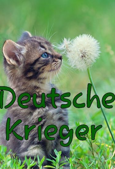 Drowned//OC Drawing// | Deutsche Warrior Cats-Krieger Amino