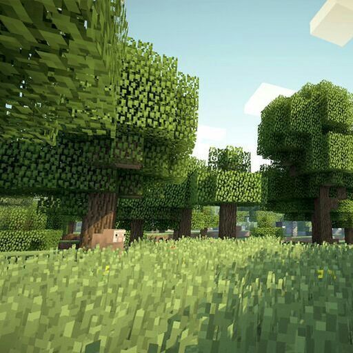 Latest | Minecraft - PE Амино [RUS] Amino