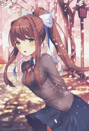 About | DDLC Amino