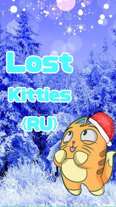 Lost Kitties ^° | Wiki | Lost Kitties {RU} Amino