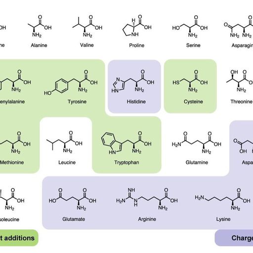 About | Amino_Acids Amino