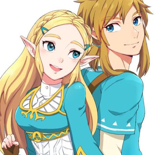 About | Zelink Amino