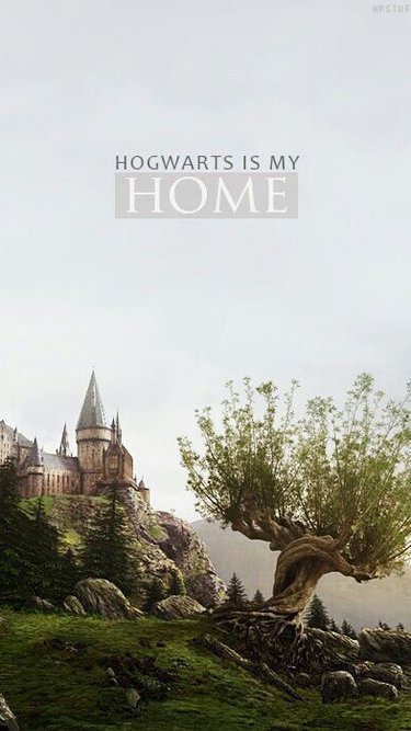 hogwarts school of magic