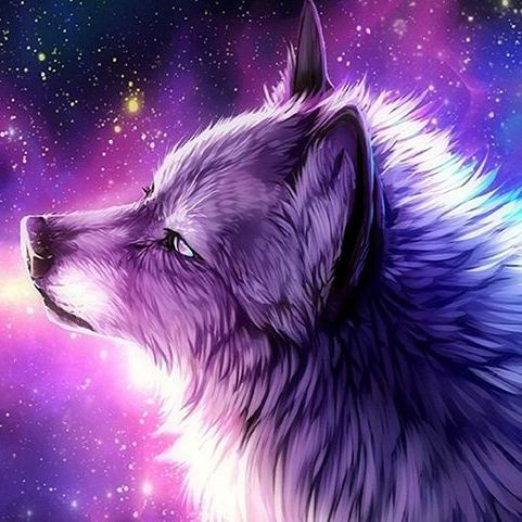 El significado de mi vida: | 💜🤞🏻🐺Wolf Forever🐺🤞🏻💜 Amino