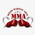 Spinning Hook Kick / Spinning Wheel Kick | Wiki | MMA Amino