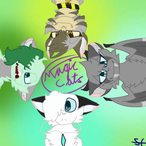 Featured | Magic Cats Official Amino