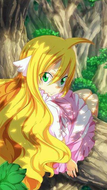 Featured | • Fairy •Tail • Amino