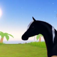 Looking for fade dyes!!! | Wild Horse Islands Roblox Amino